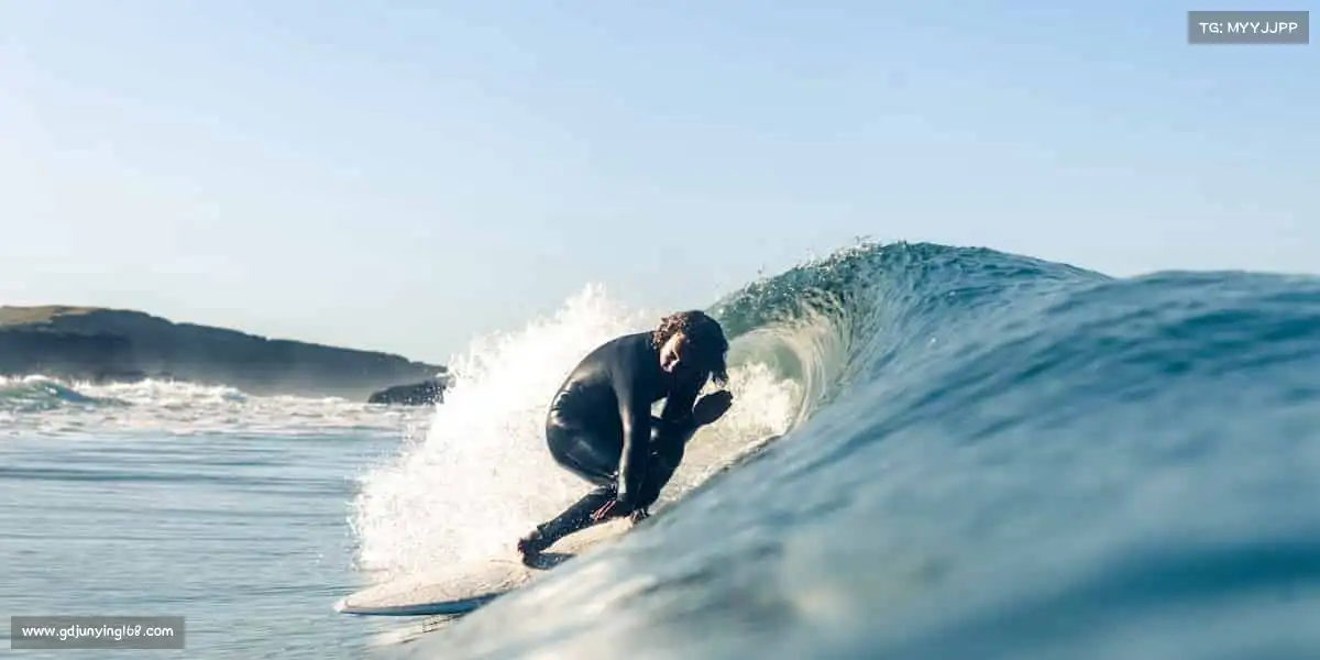 为什么选择我们